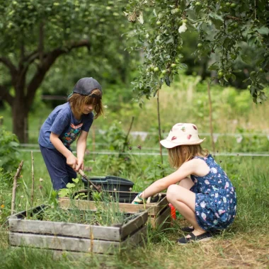 Le Parc recrute  un CDD Chargée.e de mission «Education au territoire et participation citoyenne»