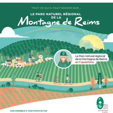 Le Parc naturel régional de la Montagne de Reims en 7 questions