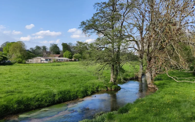 L’eau, une ressource précieuse à protéger