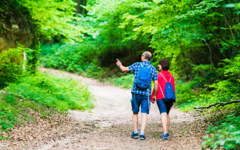 3 jours pour découvrir la Montagne de Reims sans voiture