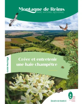 Créer et entretenir une haie champêtre