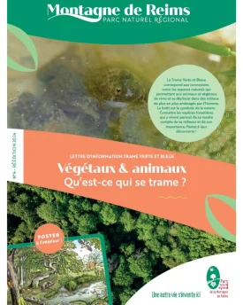 Qu’est-ce qui se trame en forêt ?