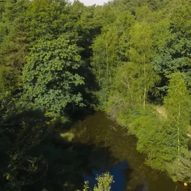 Vos Coups de pouce Nature : restaurer les mares