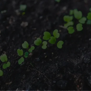 Les espaces tests agricoles, un tremplin pour les futurs agriculteurs marnais ?